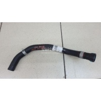 Патрубок радиатора Hyundai-Kia GV70 2020 254L4AR100