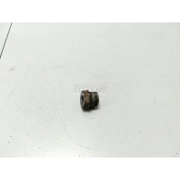Втулка переднего амортизатора Renault Twingo (2007 - 2014) 8200867250