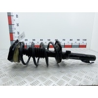 Стойка амортизатора переднего правого (МакФерсон) Renault Scenic 2 (2003-2009) 2005 8200362638