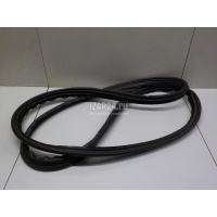 Уплотнитель двери Renault Megane II (2003 - 2009) 8200077500