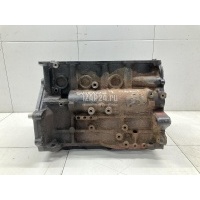 Блок двигателя Mitsubishi Grandis (NA#) (2004 - 2010) MN149370