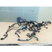 Проводка двигателя Mazda 3 BL 2010 LFAE18881F