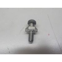 Палец вилки сцепления VAG Golf Plus (2005 - 2014) 02A141777B