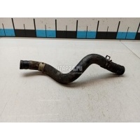 Патрубок отопителя Toyota Corolla E12 (2001 - 2007) 872451E310