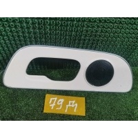 Накладка ручки двери Exeed TXL 2023 M32TFL32021