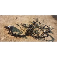 Проводка (коса) салона Opel Insignia 2013 22769235