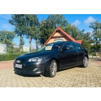 Audi a3 8p рестайлинг xenonled