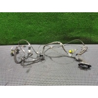 Проводка двери передней правой Audi A6 C6 (S6,RS6) 2005 4F1 971 030 C