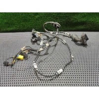 Проводка двери передней левой Audi A6 C6 (S6,RS6) 2005 4F1 971 029 C