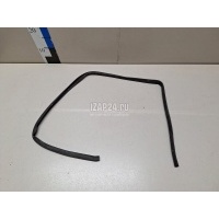 Уплотнитель двери Renault Scenic III (2009 - 2015) 828300018R