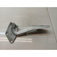 Петля капота правая Renault Megane III (2009 - 2016) 654000020R