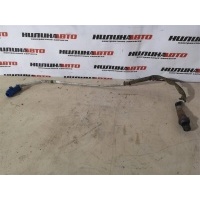 Датчик кислородный (лямбда-зонд) FORD Focus 2 2006 1346367, 1346367, 3M519G444DC, 1327550, 1326414