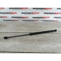 Амортизатор крышки багажника FORD Focus 2 2009 1684312, 1684312, 1502096, 1492364