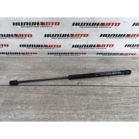 Амортизатор крышки багажника Ford Focus 2 2008 1684312, 1684312, 1502096, 1492364