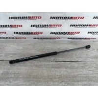Амортизатор крышки багажника Ford Focus 2 2008 1684312, 1684312, 1502096, 1492364