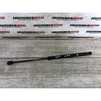 Амортизатор крышки багажника FORD Focus 2 2008 1684312, 1684312, 1502096, 1492364