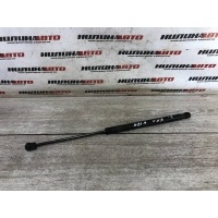 Амортизатор крышки багажника FORD Focus 2 2008 1684312, 1684312, 1502096, 1492364