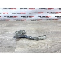 Петля капота NISSAN Qashqai 1 J10 2008 65401JD000