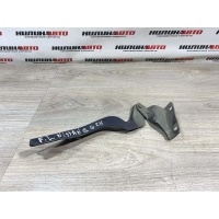 Петля капота NISSAN Qashqai 1 J10 2011 65401JD000