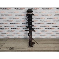 Амортизатор подвески (стойка) SUZUKI SX4 2006 4160180J01, 4160180J01, 4160180J01000