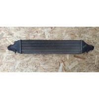 Интеркулер Opel Corsa D 2006-2015 2008 55702171