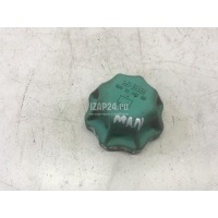 Крышка расширительного бачка MAN TRUCK ACTROS MP3 (2008 - 2012) 81061110018