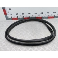 Уплотнитель двери Renault Megane 3 (2008-2016) 2009 ,769240015R