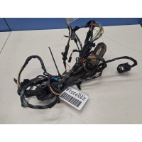 Жгут проводов передней левой двери BMW 3 E90 2005-2013 61126938215