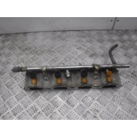 Рампа топливная Land Rover Discovery III 2004-2009 4636643