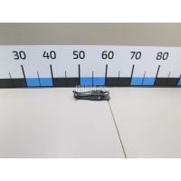 Кронштейн (сопут. товар) Citroen-Peugeot Xsara (2000 - 2005) 036388