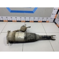 Пневмоамортизатор задний левый Audi A8 D3 4E 2003-2010 4E0616001E