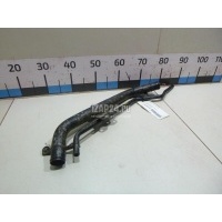 Горловина топливного бака Nissan Pathfinder (R51) (2005 - 2014) 17221EA510