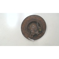 Ступица (кулак, цапфа) Renault Scenic 1996-2002 2004 7701206328