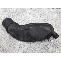 Гофра инжектора Volkswagen Passat B5+ (GP) 2001 078133356s