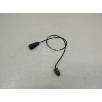 Кронштейн (сопут. товар) Ford Focus II (2008 - 2011) 1317837