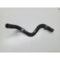 Шланг системы охлаждения Subaru Forester (S12) (2008 - 2012) 21204AB210