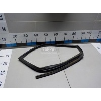 Уплотнитель стекла двери Nissan Teana J32 (2008 - 2013) 82331JN21A