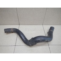 Патрубок радиатора Hyundai-Kia Carens (2006 - 2012) 254151D100
