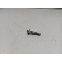 Винт Renault Lada Largus 2012 7703002662