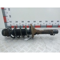 Стойка амортизатора переднего левого (МакФерсон) Volkswagen Bora(Jetta) (1998-2005) 2000 1J0413031S,1J0413031T