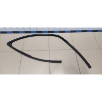 Уплотнитель стекла двери RENAULT Duster 2012> 8200733140