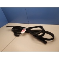 Уплотнитель стекла двери задний правый BMW 7 G11 G12 2015- 51359481276