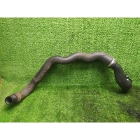 патрубок интеркулера Opel Corsa D (2006-2015) 55559259