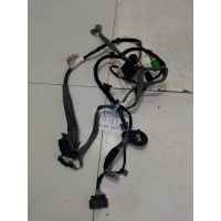 Электропроводка двери передней правой Volvo S60 II 2010-2018 31374757