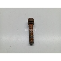 Болт Chery Tiggo 8 2019 T153301025