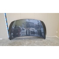 Капот Hyundai-Kia Carnival 2014 66400A9000