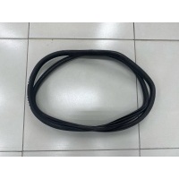 Защитная окантовка двери BMW 3 F30 2013 51727303967