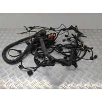 Проводка двигателя Audi A4(B8) 2015 038907281B