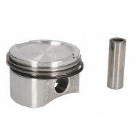 поршень mahle 009 41 00