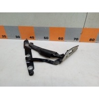 Петля крышки багажника Audi A6 C6, 4F2 2006 4F5827301A